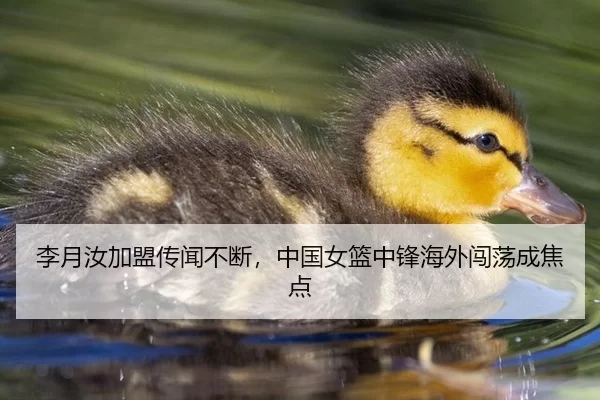 李月汝加盟传闻不断，中国女篮中锋海外闯荡成焦点